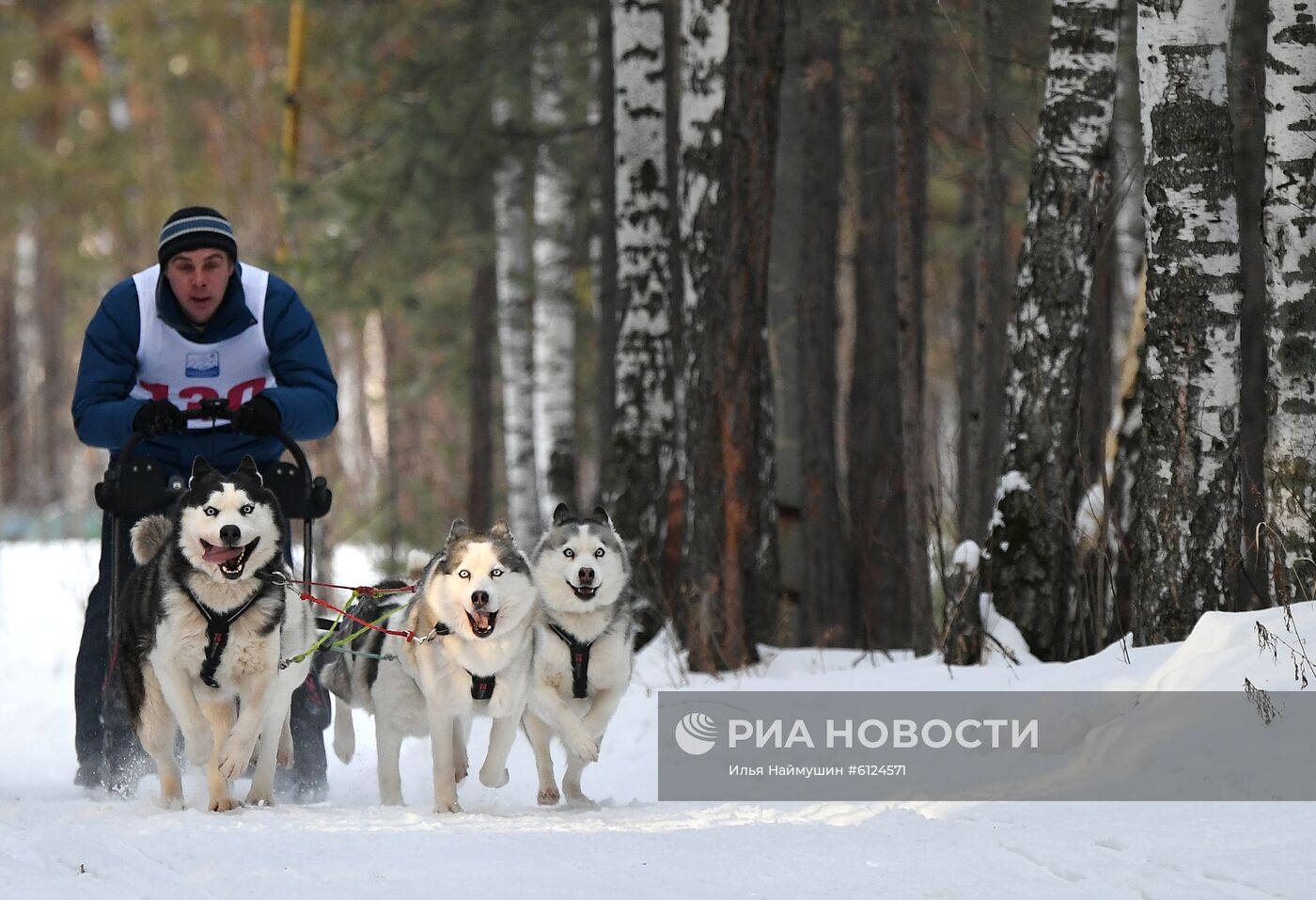 Соревнования по ездовому спорту "Гонка Снеговиков 2020" в Красноярском крае
