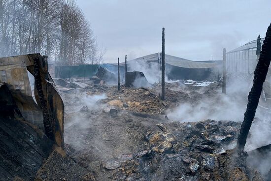 В Подмосковье произошел пожар на территории тепличного комплекса