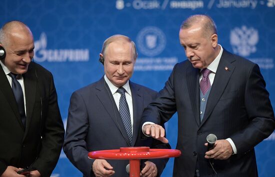 Рабочий визит президента РФ В. Путина в Турецкую Республику