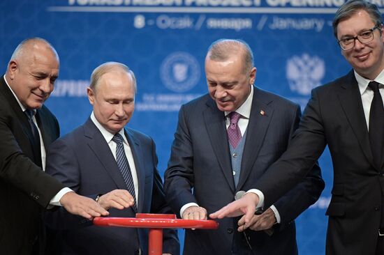 Рабочий визит президента РФ В. Путина в Турецкую Республику