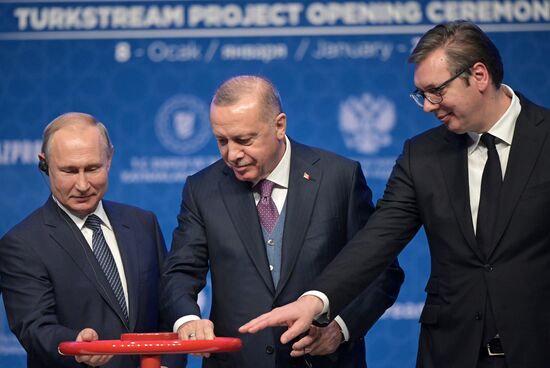 Рабочий визит президента РФ В. Путина в Турецкую Республику