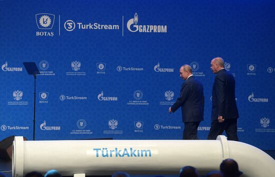 Рабочий визит президента РФ В. Путина в Турецкую Республику