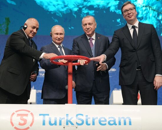 Рабочий визит президента РФ В. Путина в Турецкую Республику