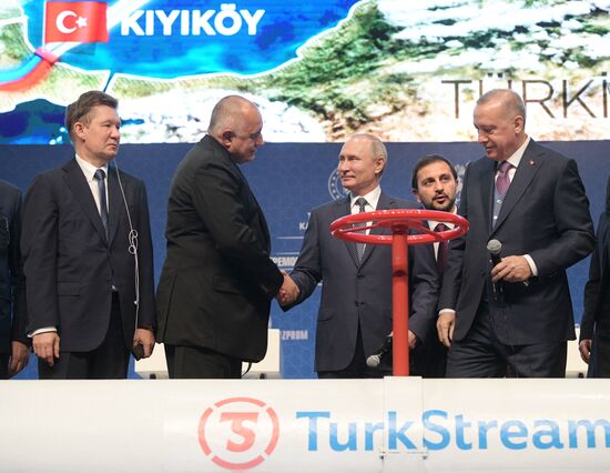 Рабочий визит президента РФ В. Путина в Турецкую Республику