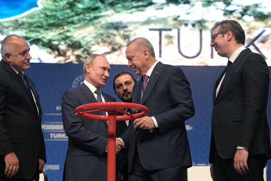 Рабочий визит президента РФ В. Путина в Турецкую Республику