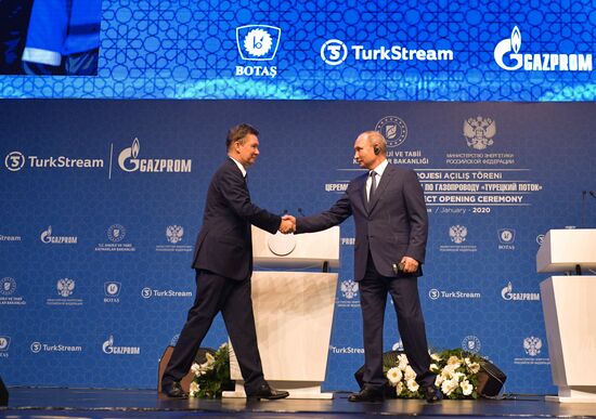 Рабочий визит президента РФ В. Путина в Турецкую Республику