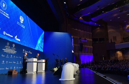 Рабочий визит президента РФ В. Путина в Турецкую Республику