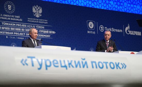 Рабочий визит президента РФ В. Путина в Турецкую Республику