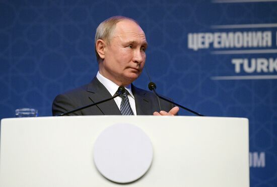 Рабочий визит президента РФ В. Путина в Турецкую Республику