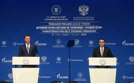 Рабочий визит президента РФ В. Путина в Турецкую Республику