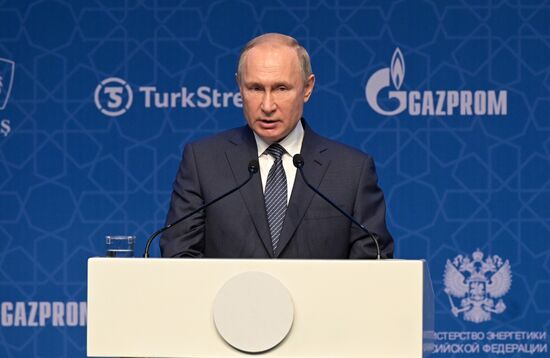 Рабочий визит президента РФ В. Путина в Турецкую Республику