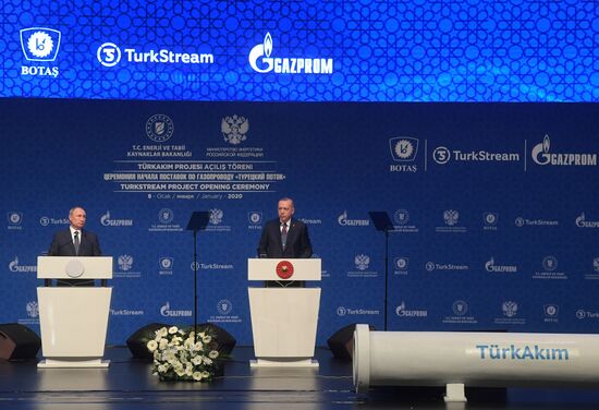 Рабочий визит президента РФ В. Путина в Турецкую Республику