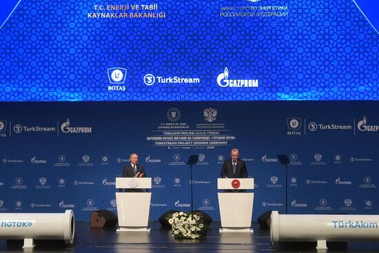 Рабочий визит президента РФ В. Путина в Турецкую Республику