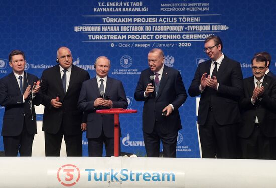 Рабочий визит президента РФ В. Путина в Турецкую Республику