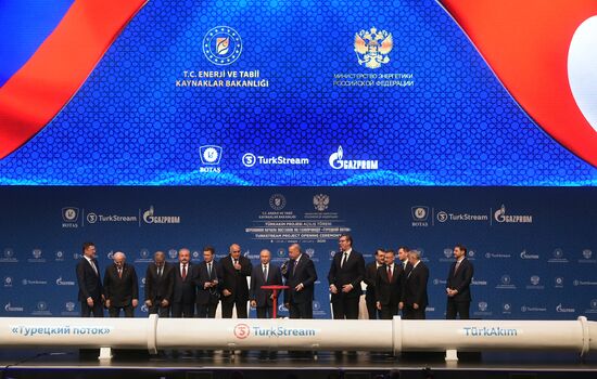 Рабочий визит президента РФ В. Путина в Турецкую Республику