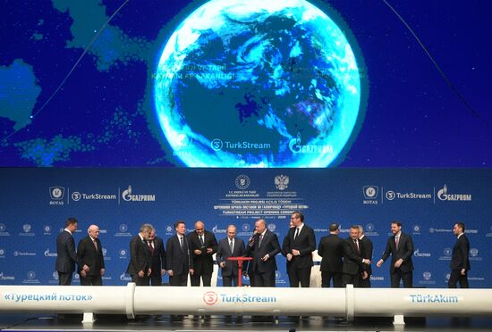 Рабочий визит президента РФ В. Путина в Турецкую Республику