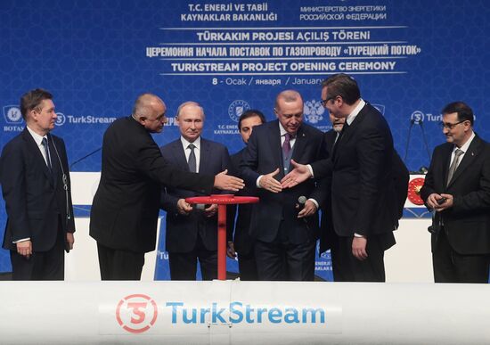 Рабочий визит президента РФ В. Путина в Турецкую Республику