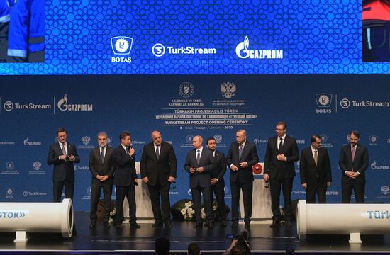 Рабочий визит президента РФ В. Путина в Турецкую Республику