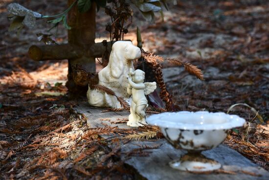 Резервация индейцев кашая Стюартс-пойнт в Калифорнии