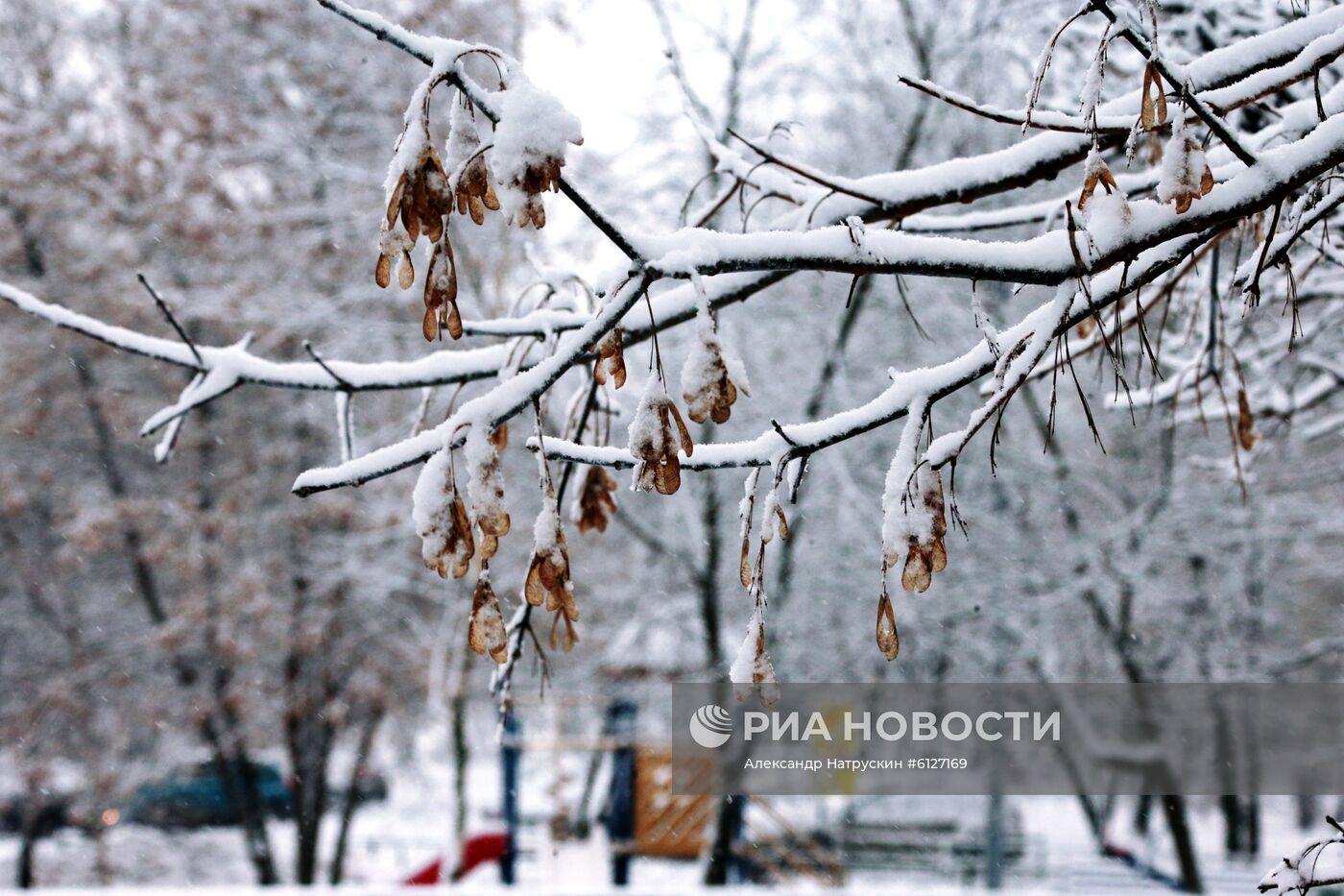 Снег в Москве