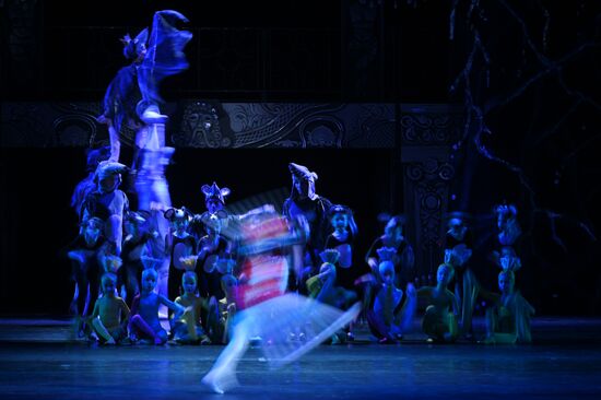 Спектакль "Кракатук" в Большом театре