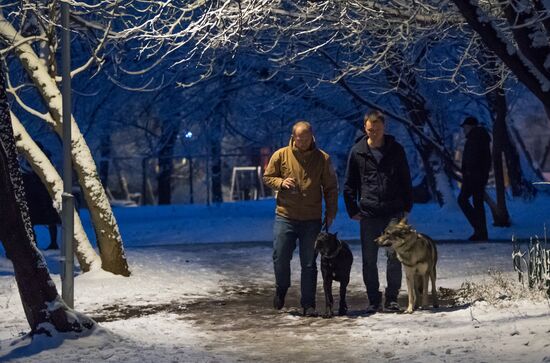 Новые правила выгула собак вступили в силу с начала года
