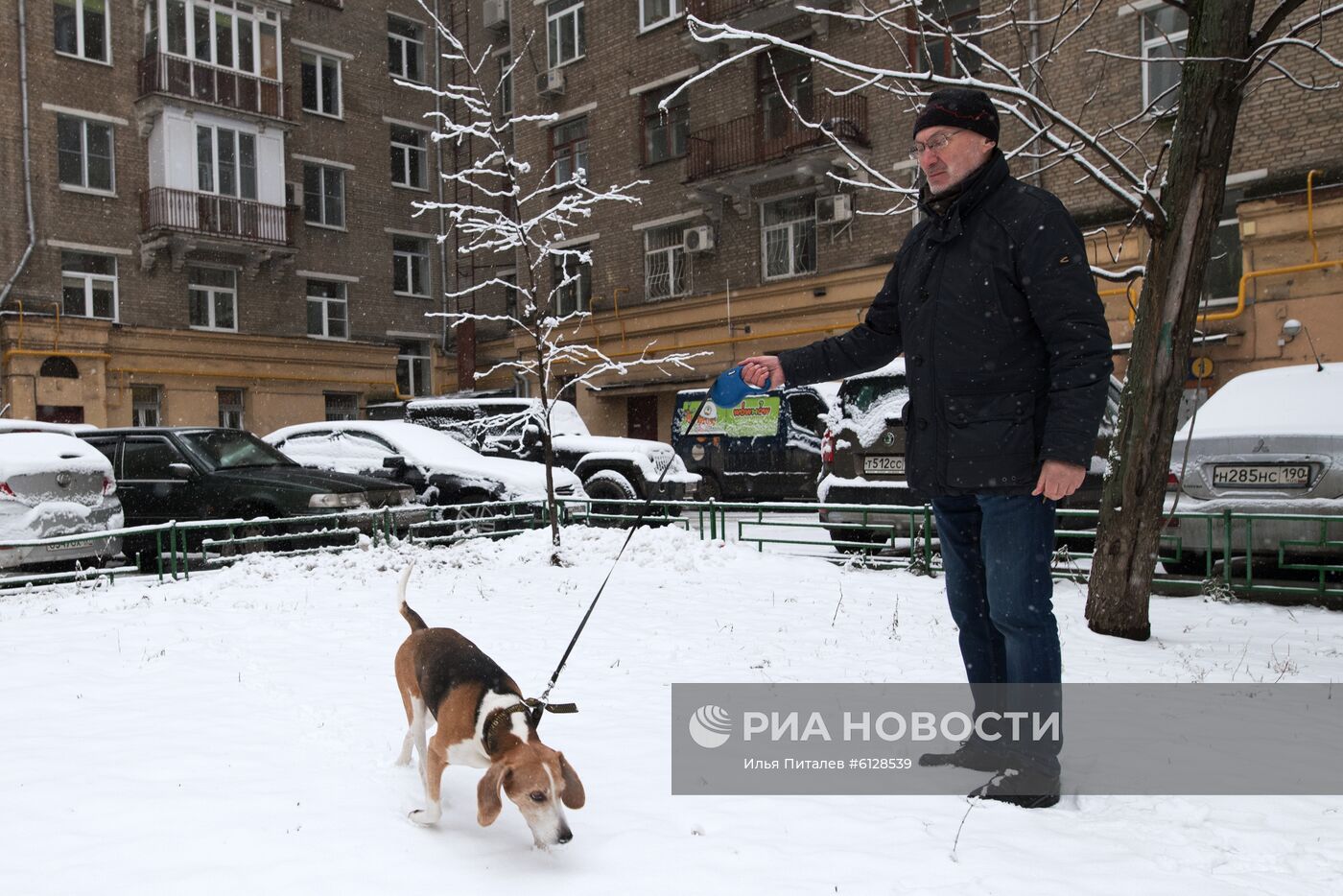 Новые правила выгула собак вступили в силу с начала года