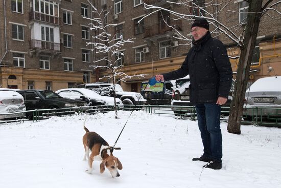 Новые правила выгула собак вступили в силу с начала года