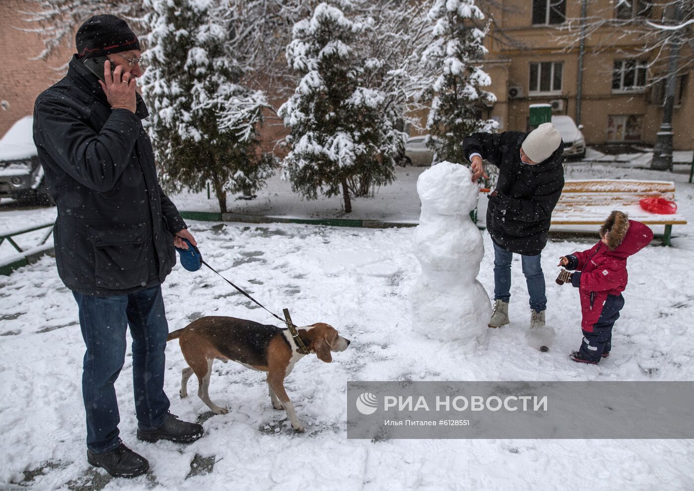 Новые правила выгула собак вступили в силу с начала года
