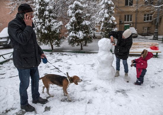 Новые правила выгула собак вступили в силу с начала года