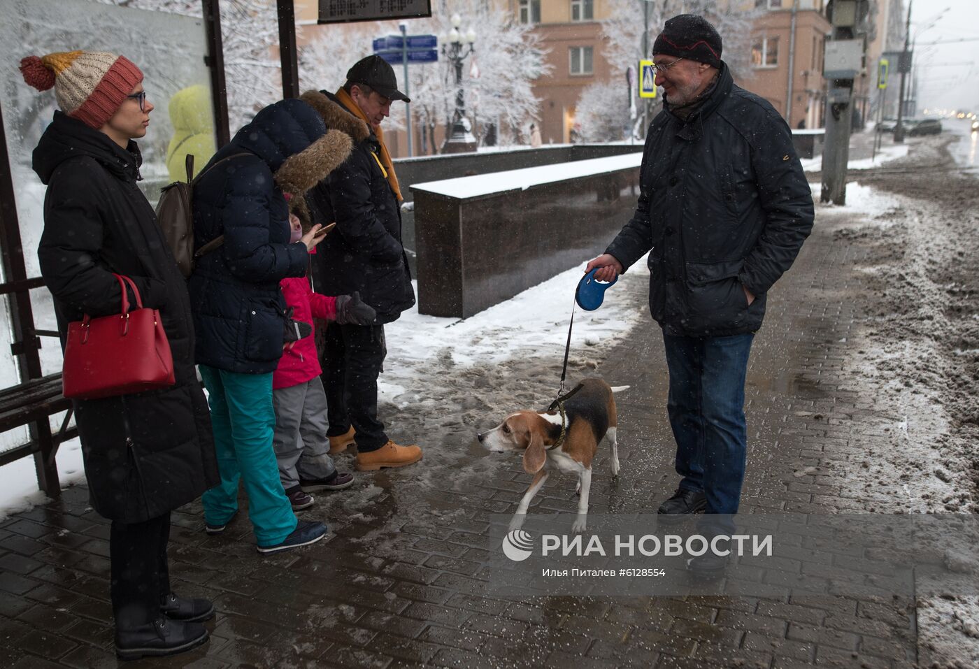 Новые правила выгула собак вступили в силу с начала года