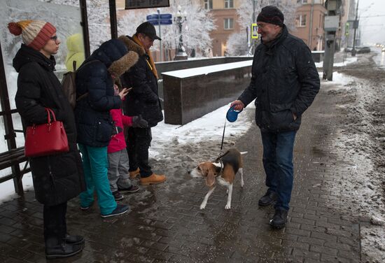 Новые правила выгула собак вступили в силу с начала года
