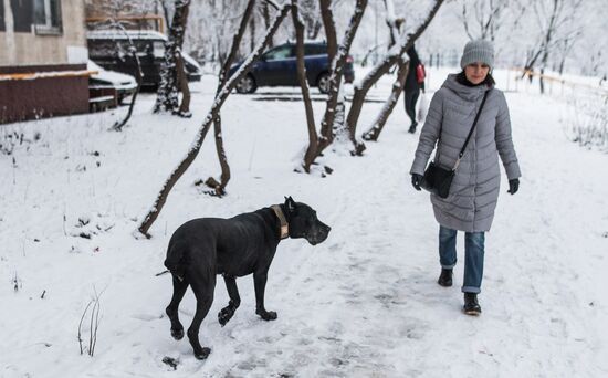 Новые правила выгула собак вступили в силу с начала года
