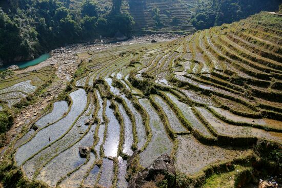Страны мира. Вьетнам
