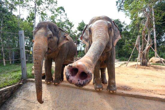 Страны мира. Вьетнам