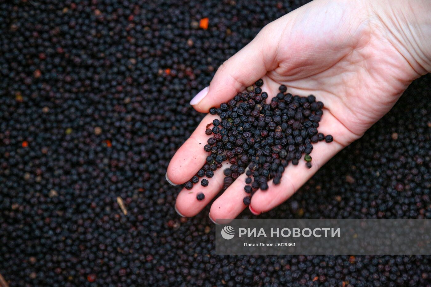 Страны мира. Вьетнам