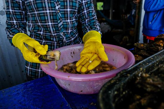 Страны мира. Вьетнам