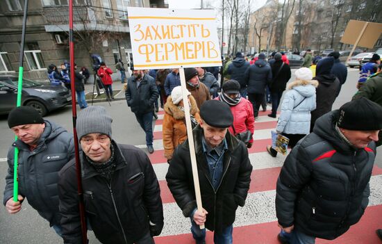 Акция в Киеве против земельной реформы