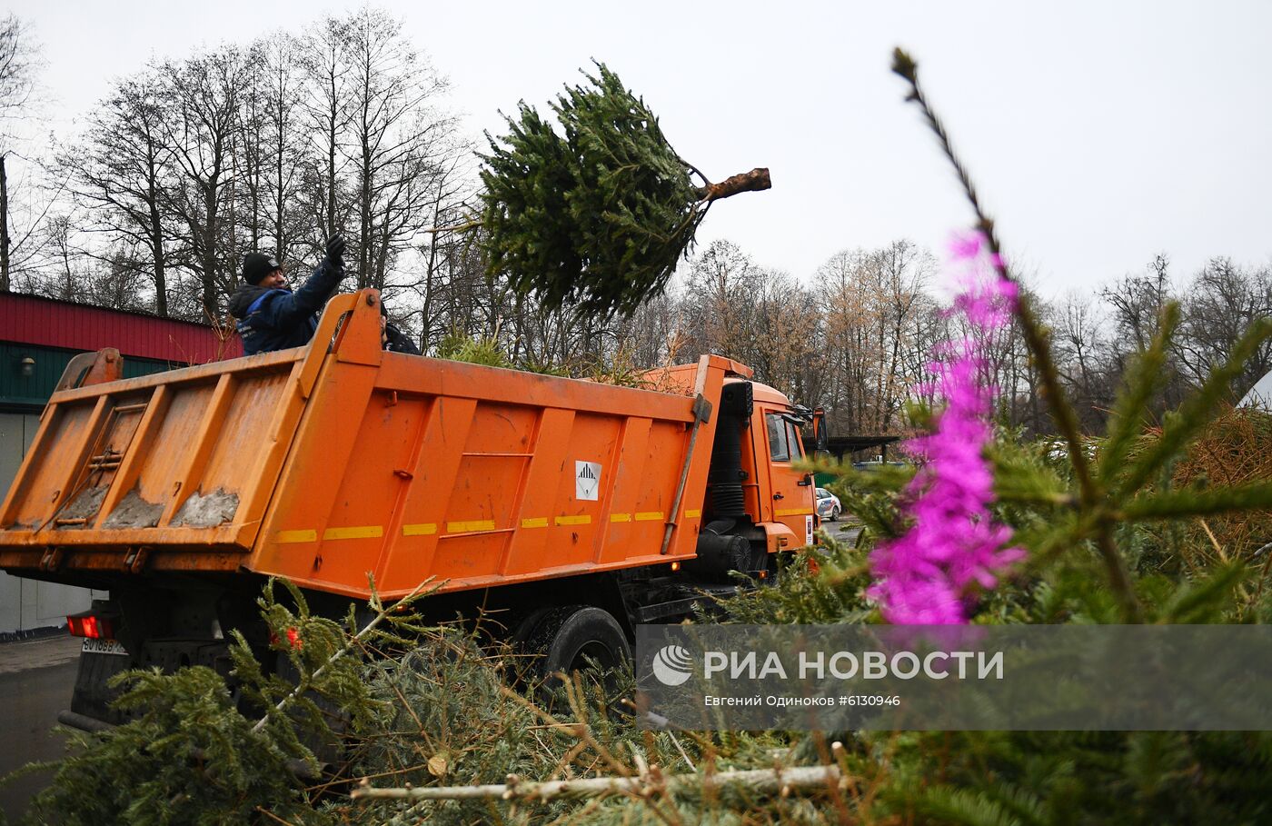 Переработка новогодних елей