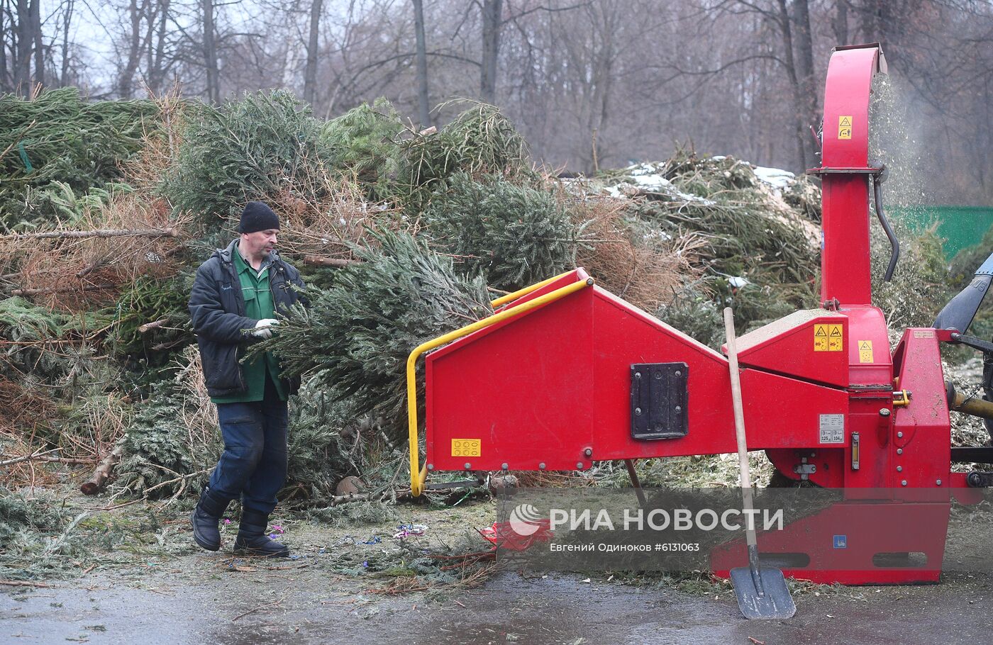 Переработка новогодних елей