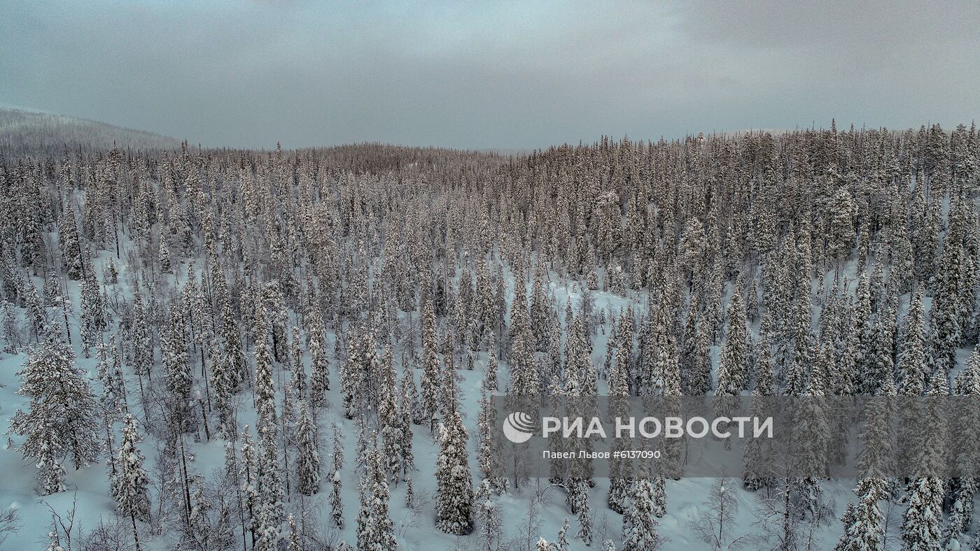 Лапландский природный биосферный заповедник