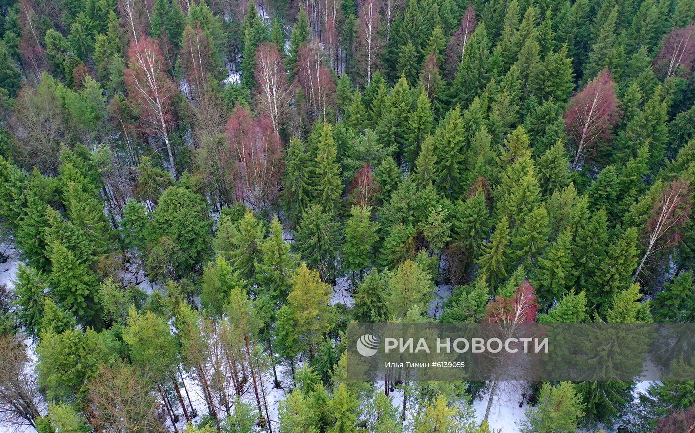 Национальный парк "Водлозерский"