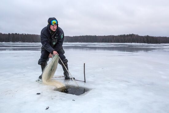 Национальный парк "Водлозерский"