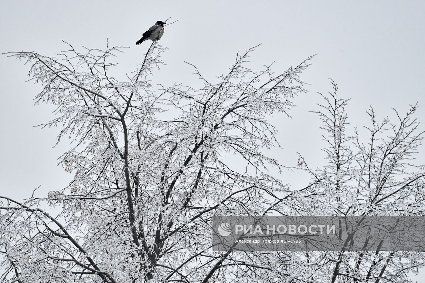 Зима в Новосибирске