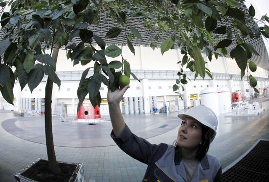 Красноярская ГЭС 