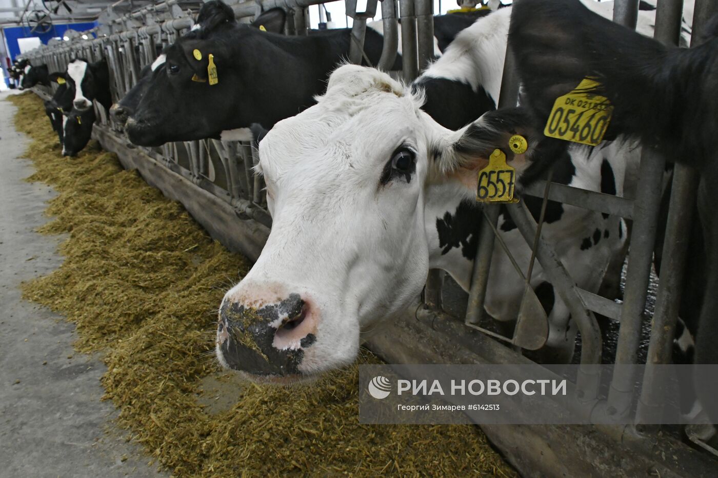 Ферма "Ключевское" в Краснодарском крае
