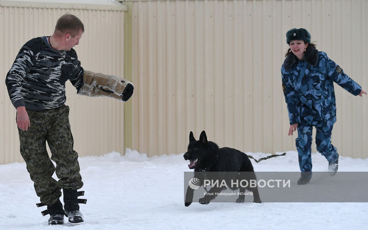 Питомник собак ФСИН в Сосновоборске