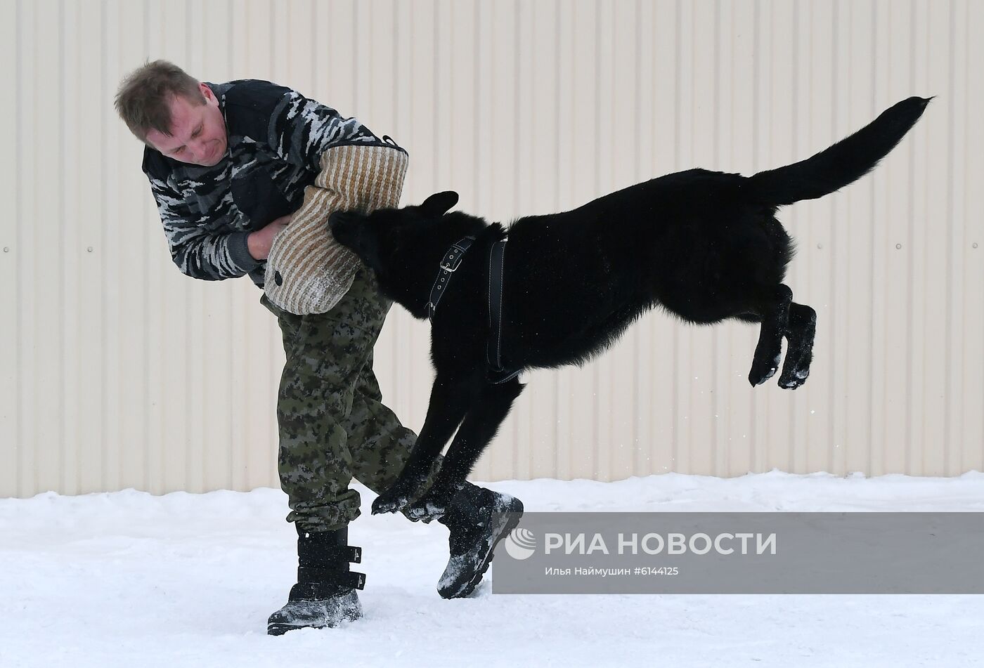 Питомник собак ФСИН в Сосновоборске