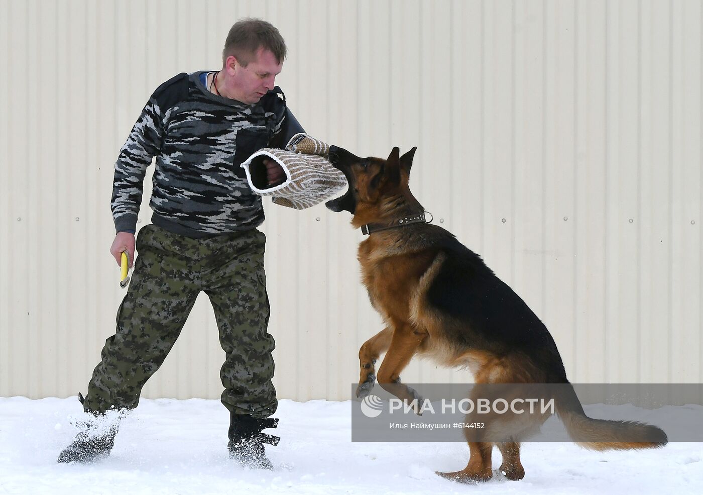 Питомник собак ФСИН в Сосновоборске