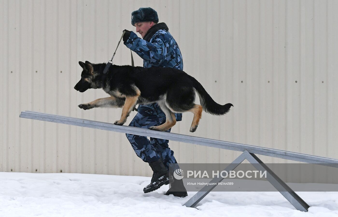 Питомник собак ФСИН в Сосновоборске